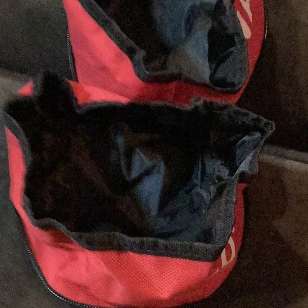 Portable food and water bowl